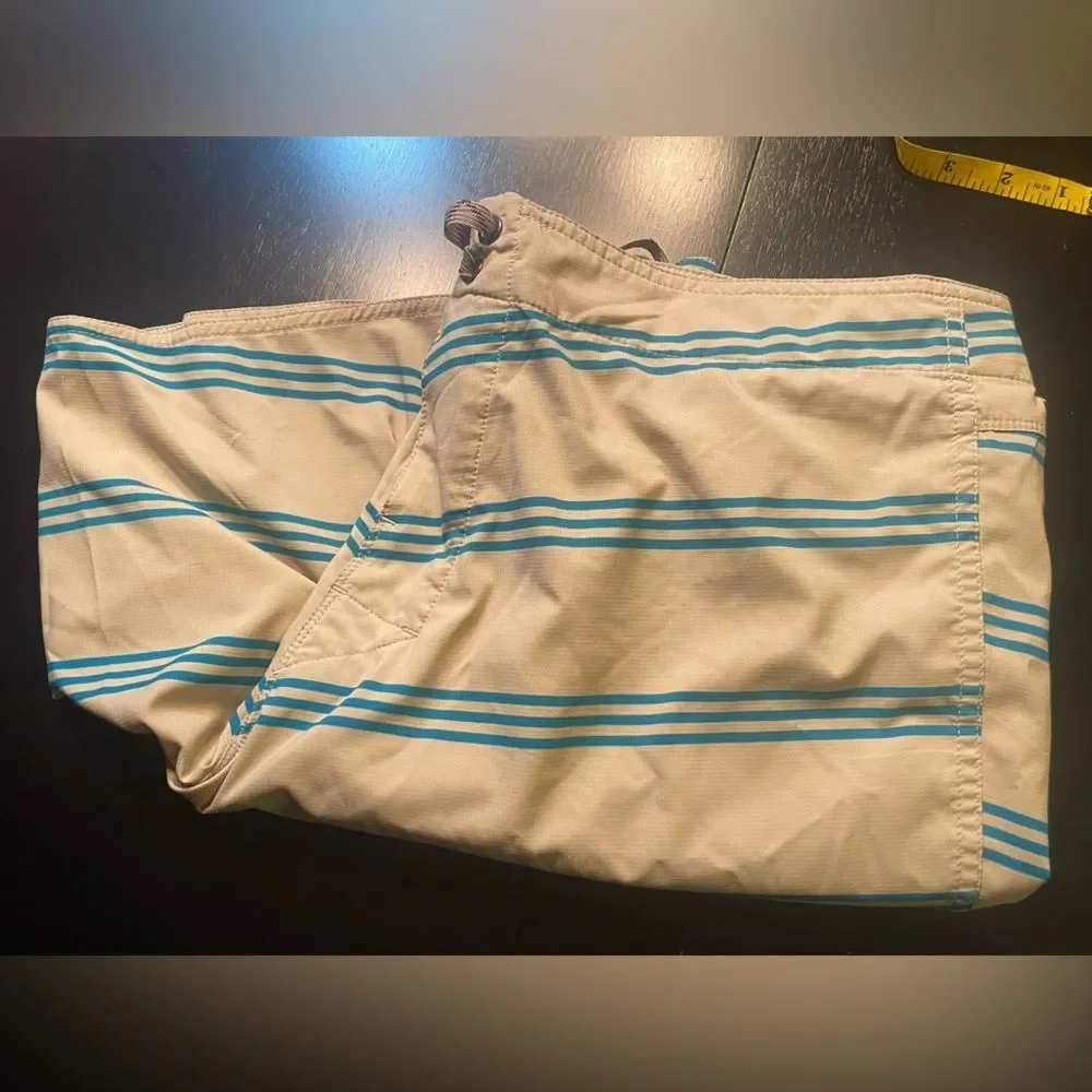 Patagonia Men's size 38 board shorts stripes blue summer outdoor surf stripes